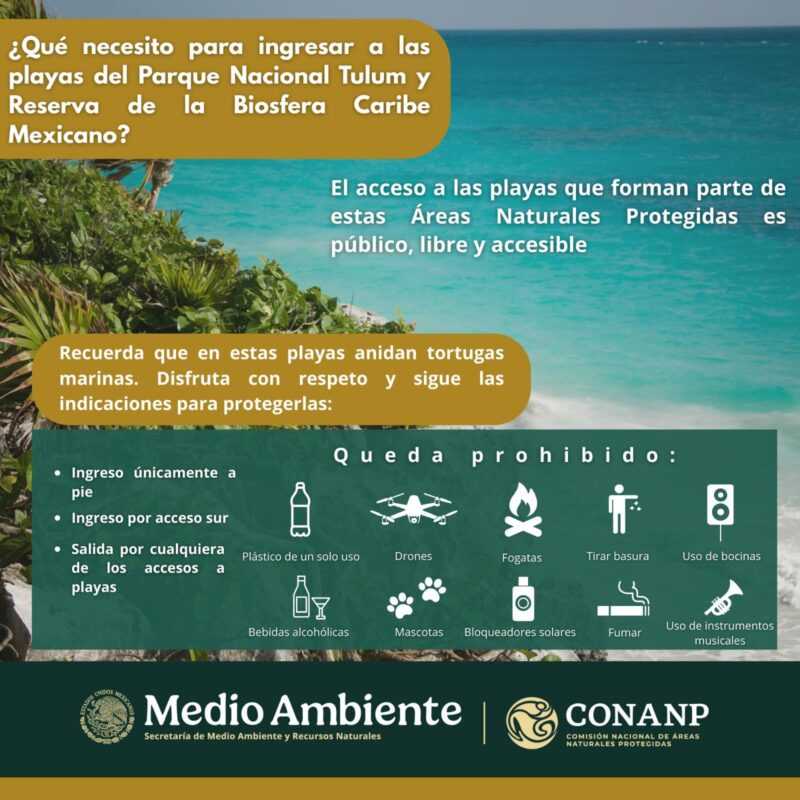 tulum-alimentos-playa-falso