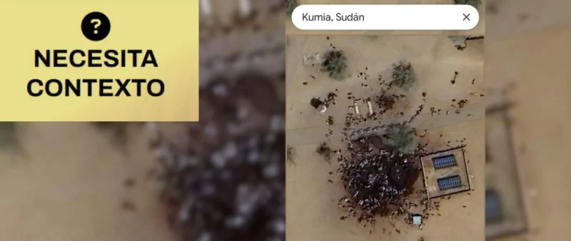 690e04c8202abportaditas 17 webp