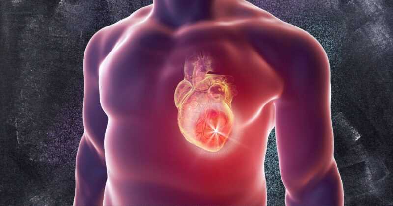 No, toser “repetidamente y fuertemente” en caso de infarto no te ayudará: llamar a emergencias sí 2 Copia de Portadas V Diana Soto 3 1