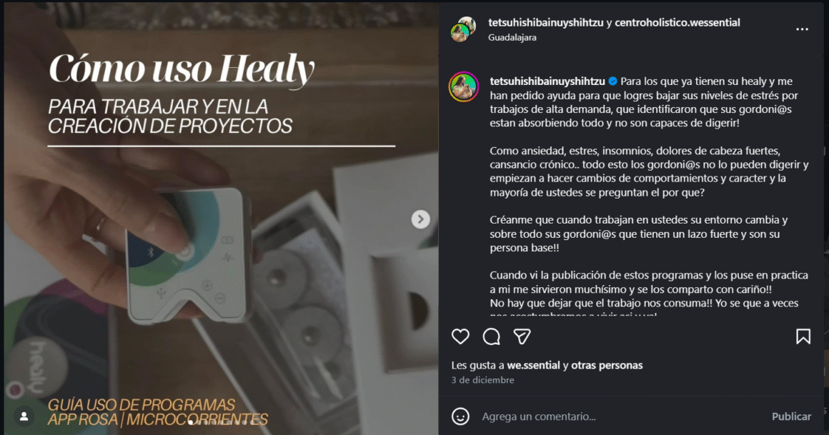 Captura de pantalla 2025 12 12 164927