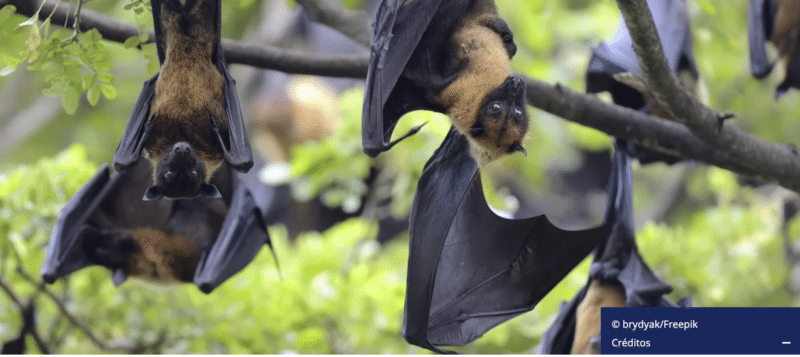 Captura de pantalla 2026 02 03 a las 4.06.42 p.m 1