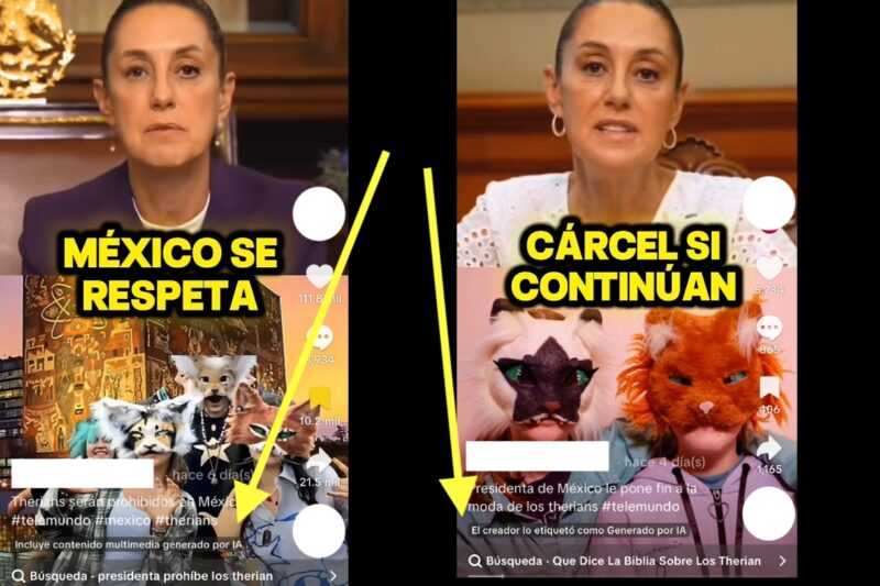 video-sheinbaum-prohibe-therians-falso