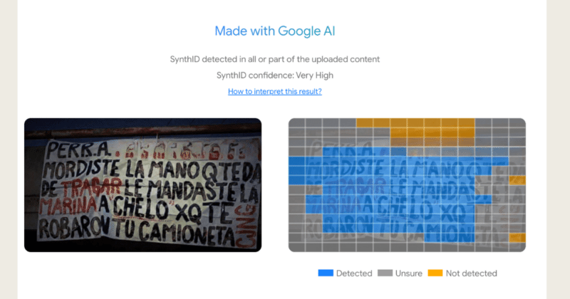 Desinformación sexista pone en riesgo a mujeres influencers tras muerte de El Mencho 6 Desinformación sexista pone en riesgo a mujeres influencers tras abatimiento de El mencho