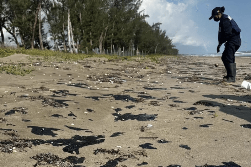 Derrame en el Golfo de MX: Un desastre ambiental envuelto en opacidad y desinformación cruzada 1 Golfo