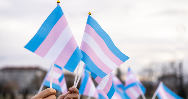 DEBS Copia de PORTADAS NUEVAS 18