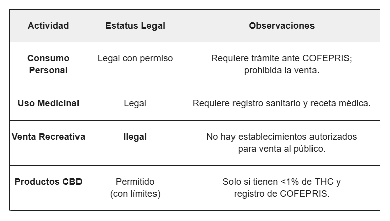 Un estudio revisó si el consumo reciente y acumulado de cannabis se vincula con cambios en la función cerebral. 
La investigación reportó que, en 1,003 adultos de 22 a 36 años, el consumo intensivo de cannabis se asoció con menor activación cerebral y menor rendimiento en memoria de trabajo.
