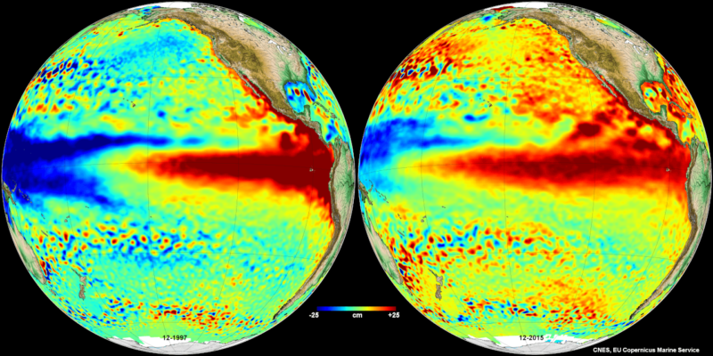 global indic ENSO nino