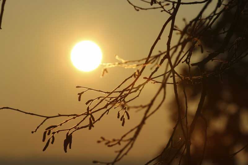 Onda de calor y “El Niño” en 2026: ¿Qué son y cómo prevenir los impactos a la salud? 3 onda-de-calor-nino-mexico-2026