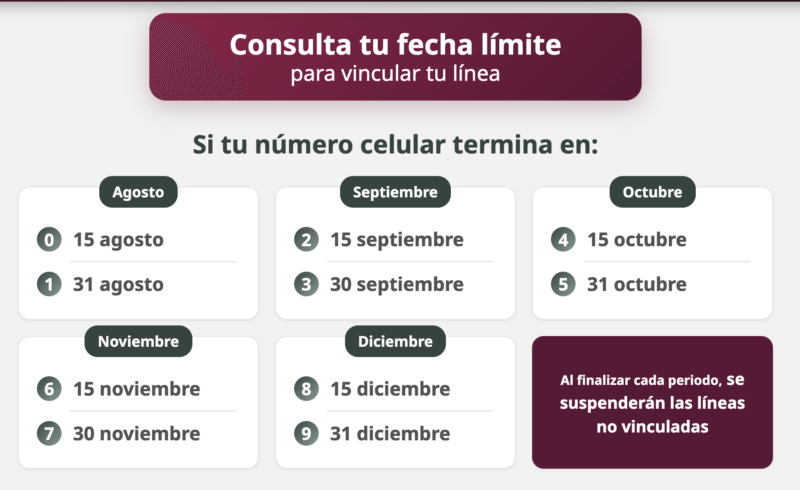 línea